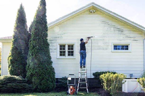 Best Sidewalk and Walkway Cleaning  in Treasure Island, FL